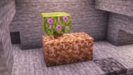 Rooted dirt generates right underneath azalea trees (Image via Mojang Studios)